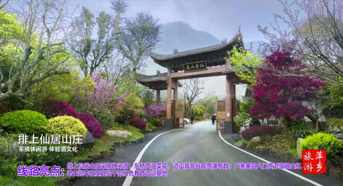 2020年萍鄉市鄉村旅游精品線路發布