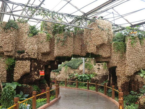 壽光家庭農(nóng)業(yè)科技生態(tài)園設(shè)計公司