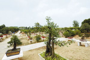 南陽日報多媒體數(shù)字報刊平臺,南陽日報多媒體數(shù)字報刊平臺,南陽,南陽日報,南陽網(wǎng),南陽社區(qū)