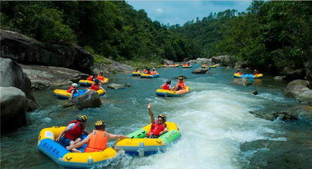 防城區那良鎮積極探索產業扶貧新模式