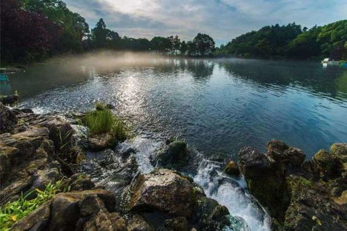南京市野生動物生態(tài)園與九龍?zhí)渡鷳B(tài)園 親子旅游首選景點
