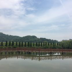 龍荷農業生態園與九龍潭生態園游覽指南 聯系方式、地址與營業時間