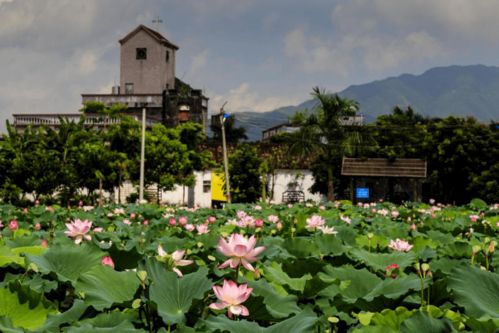 快看！博羅九龍潭生態園入選惠州市第二批鄉村旅游精品線路