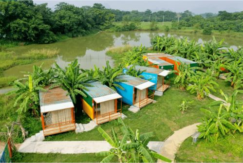 新春采摘，田園趣游 金穗與九龍潭生態園兩日樂活指南